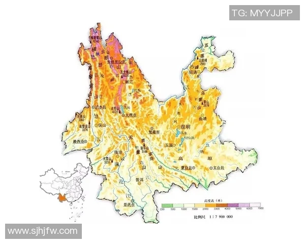 东部与西部历史数据对比分析揭示的篮球发展趋势与影响因素